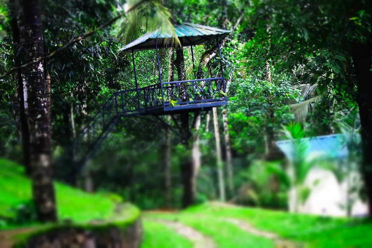 Rock Ville Resort Ambalavayal