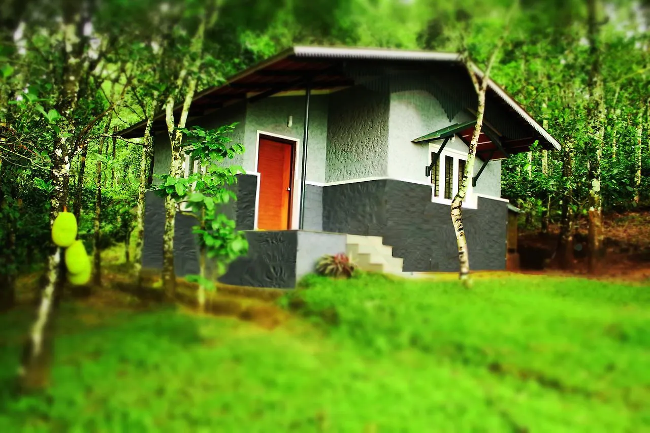 Rock Ville Resort